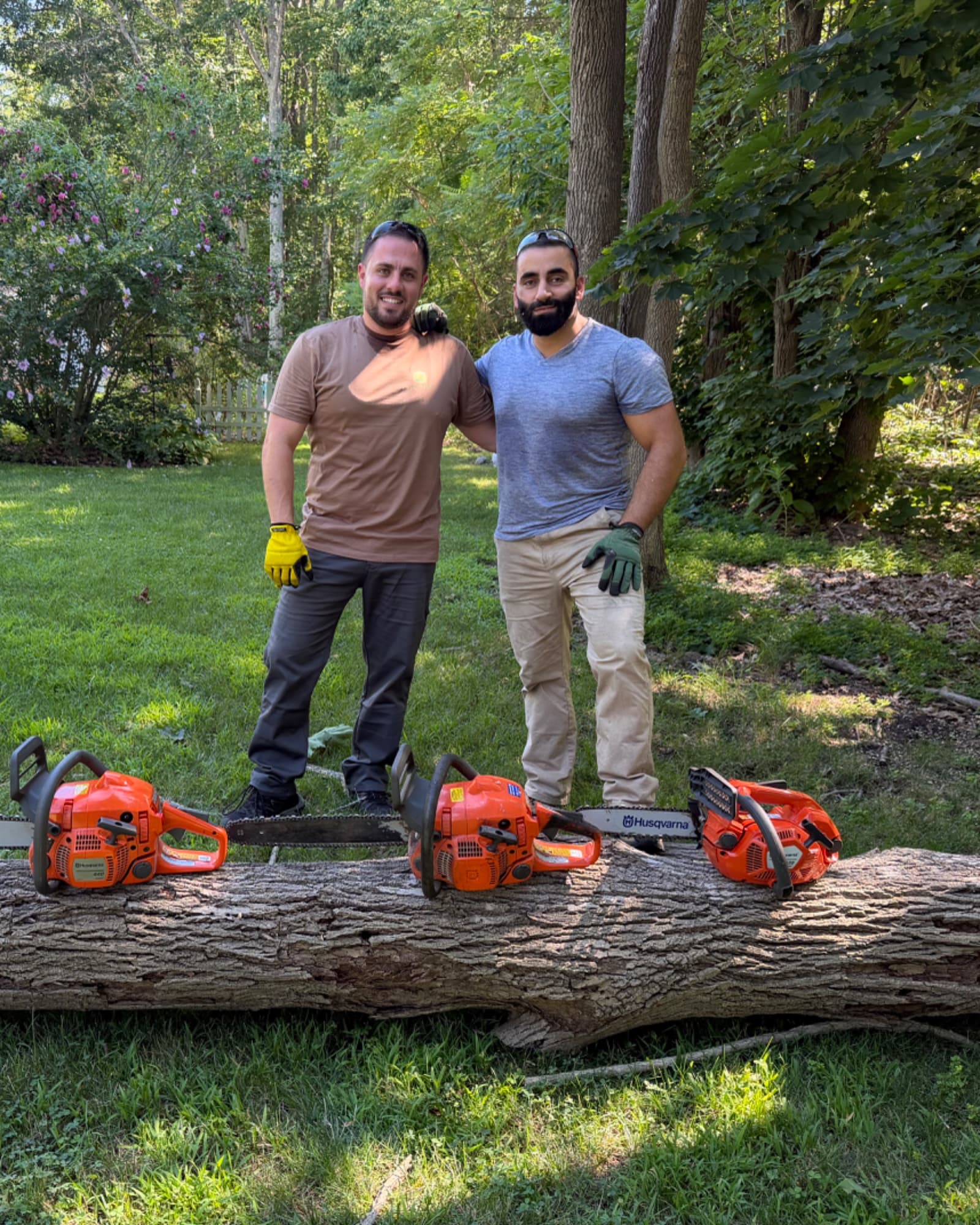 AJ Branches on the job — a tree removal in progress