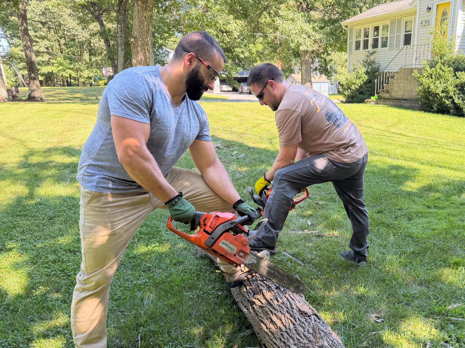 Tree work by our crew